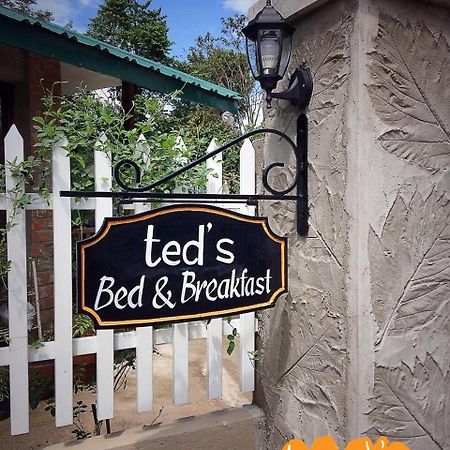 Ted'S Bed And Breakfast Santa Cruz  Eksteriør bilde